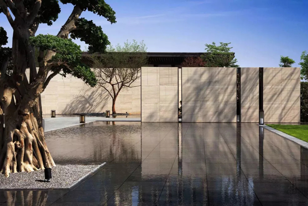 心之所向，桃花源！