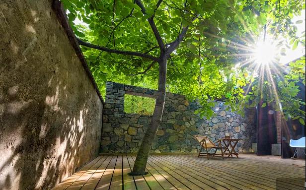 同信·愛家壹號|曾經(jīng)江湖策馬，如今院里觀花！