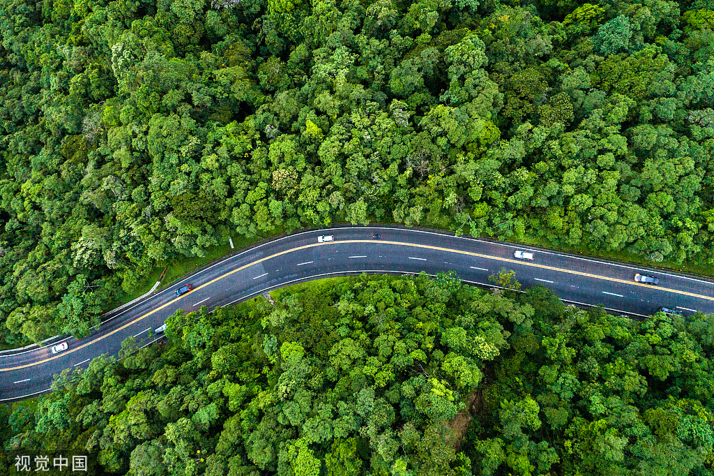 福利請查收丨點亮團圓路，與愛相伴同心同行！