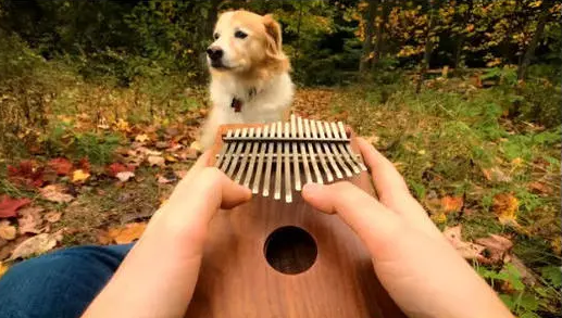 河畔有約丨看見指尖藝術，聆聽幻彩音符！